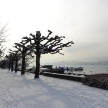 Zurich-2013