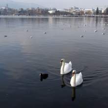 Zurich-2013