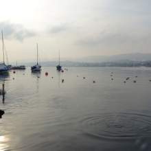 Zurich-2013