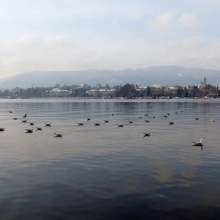 Zurich-2013