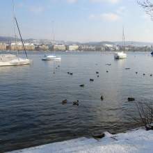 Zurich-2013